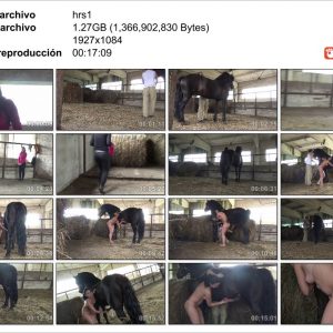 Horse movie amateur quality original